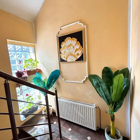 Apartament Tosanic *