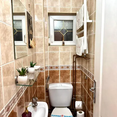 Tosanic Apartment
