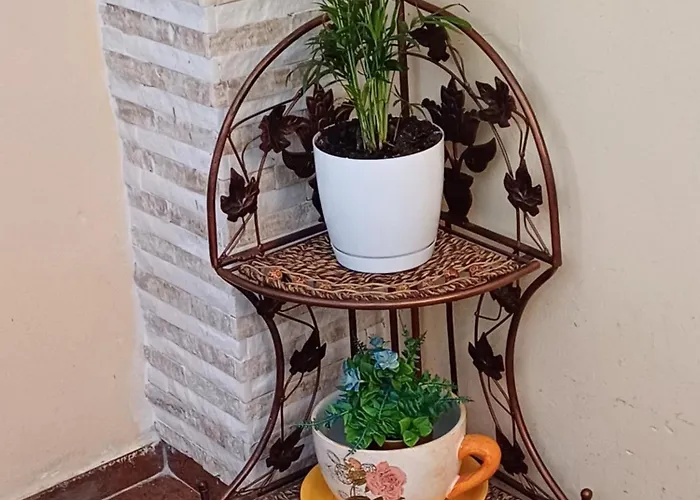 Διαμέρισμα Tosanic