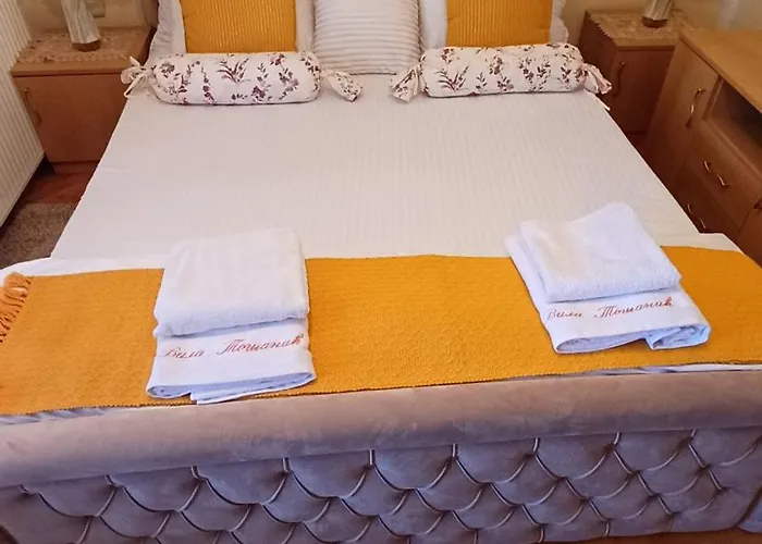 Διαμέρισμα Tosanic *